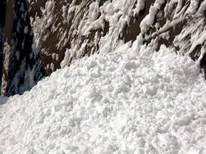 MA���÷�����